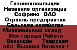 Газонокосильщик › Название организации ­ Софрино, ОАО › Отрасль предприятия ­ Сельское хозяйство › Минимальный оклад ­ 1 - Все города Работа » Вакансии   . Тверская обл.,Вышний Волочек г.